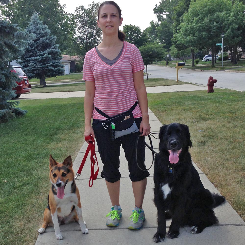 Dog Training Naperville Illinois Dog Training Naperville Illinois