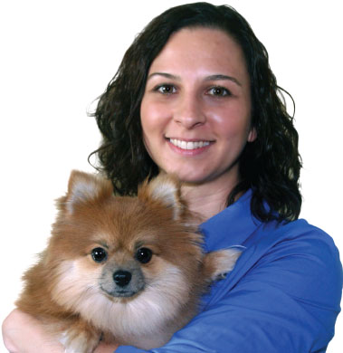 dog trainer holding a dog