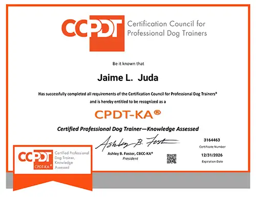 CCPDT training